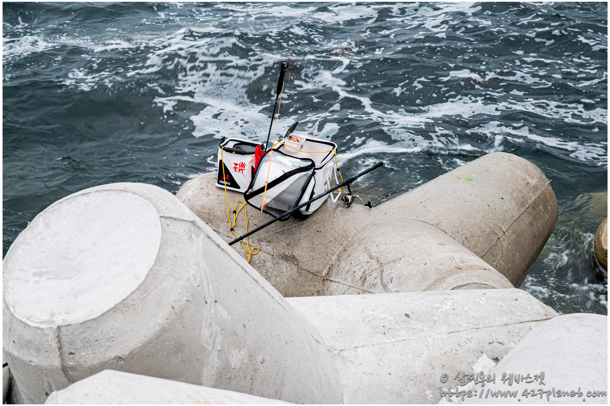 흰등대 잡어 포인트